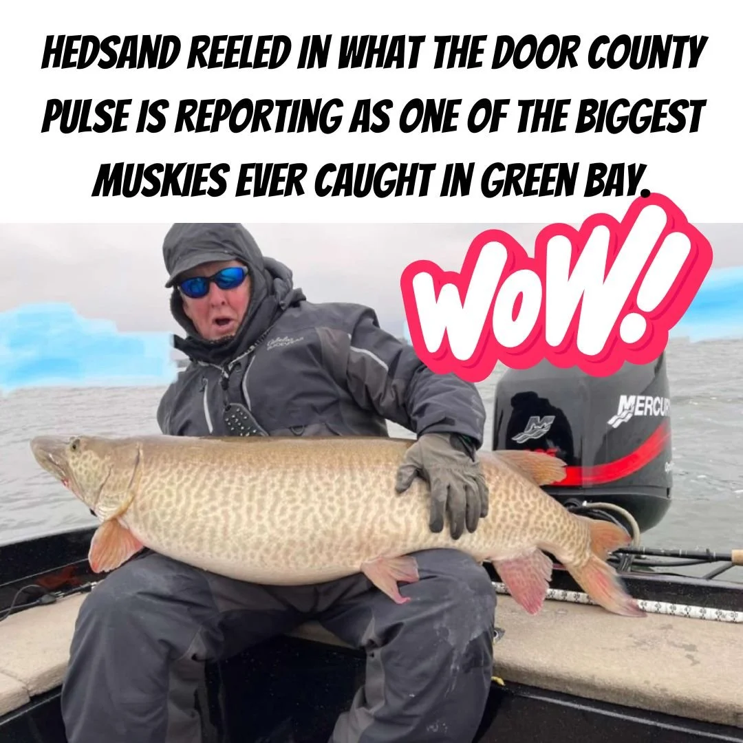 WISCONSIN ANGLER LANDS ONE OF THE BIGGEST MUSKIES EVER CAUGHT ON GREEN BAY