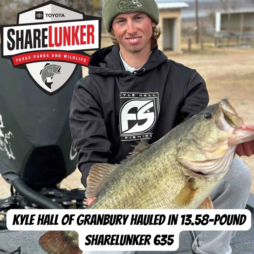 O.H. IVIE COUGHS UP ANOTHER SHARELUNKER CATCH