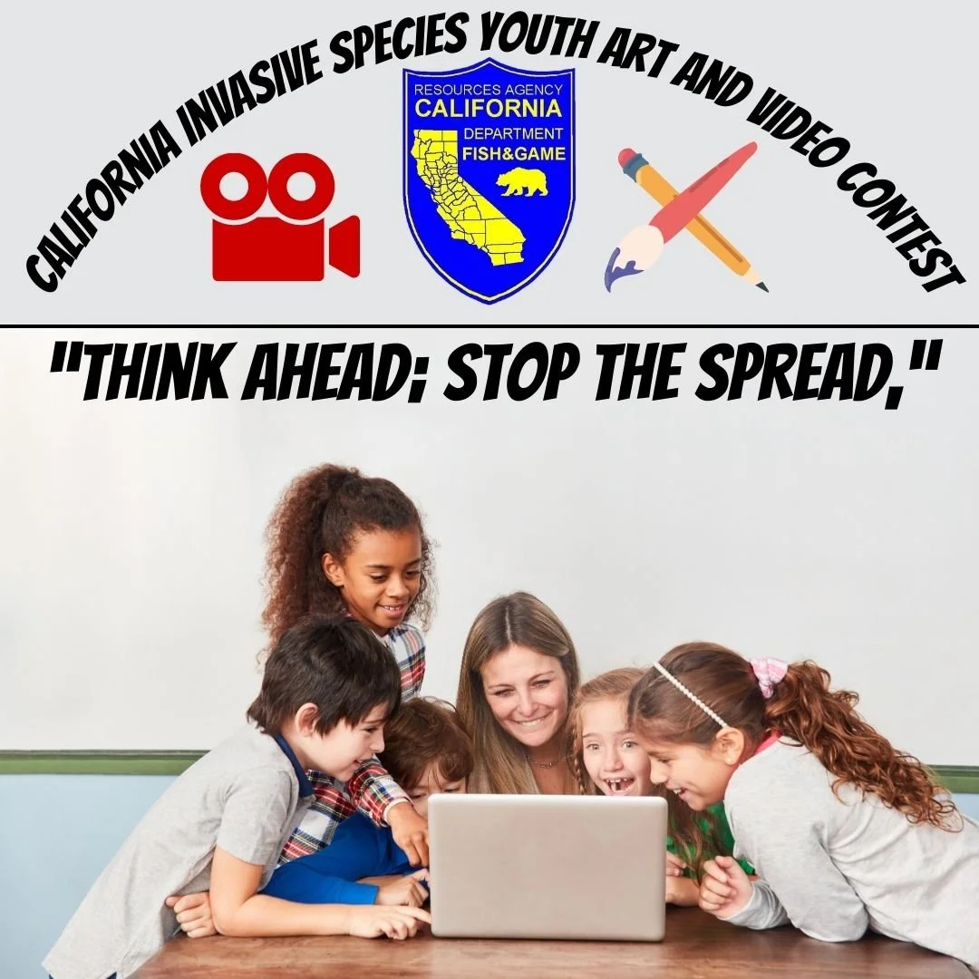 YOUTH ART AND VIDEO CONTEST SEEKS ECO-INFLUENCERS