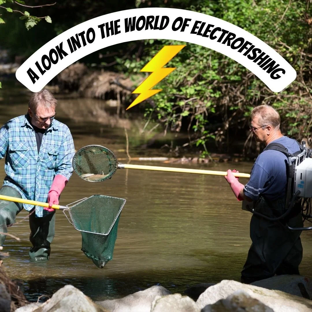 A LOOK INTO THE WORLD OF ELECTROFISHING