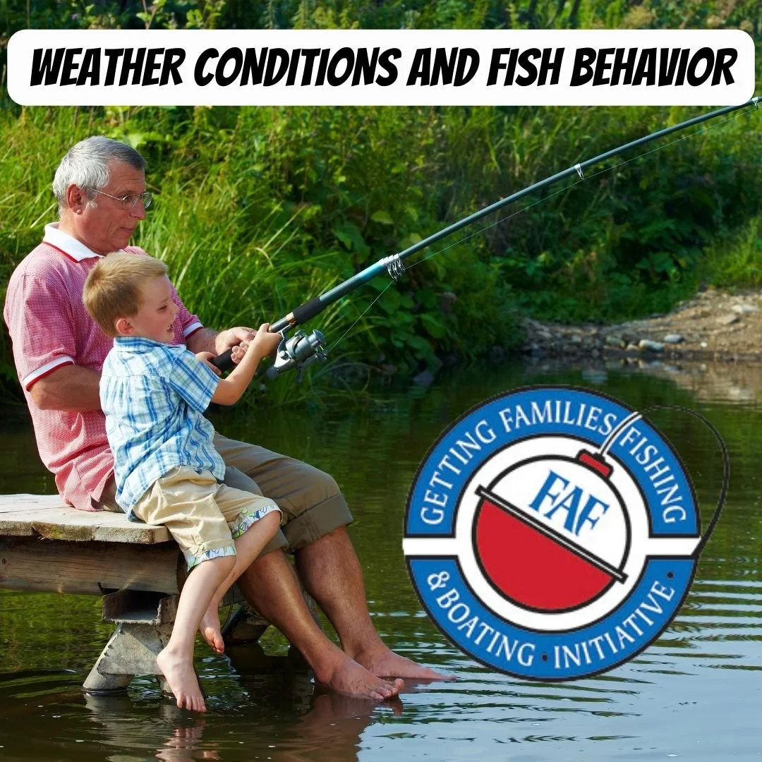 Weather, Seasons, and Family Fishing