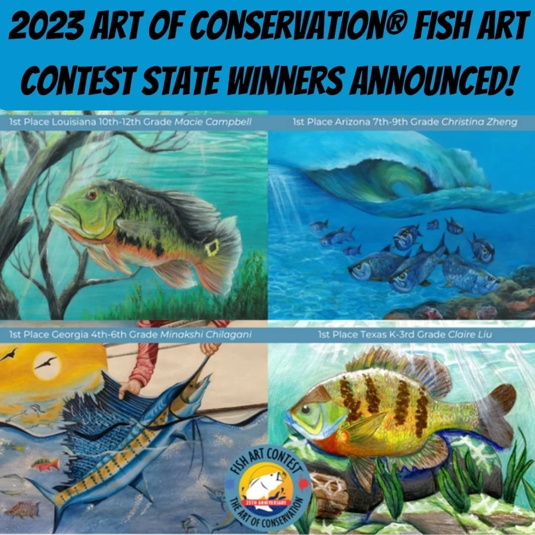 2023 Art of Conservation® Fish Art Contest State Winners Announced!