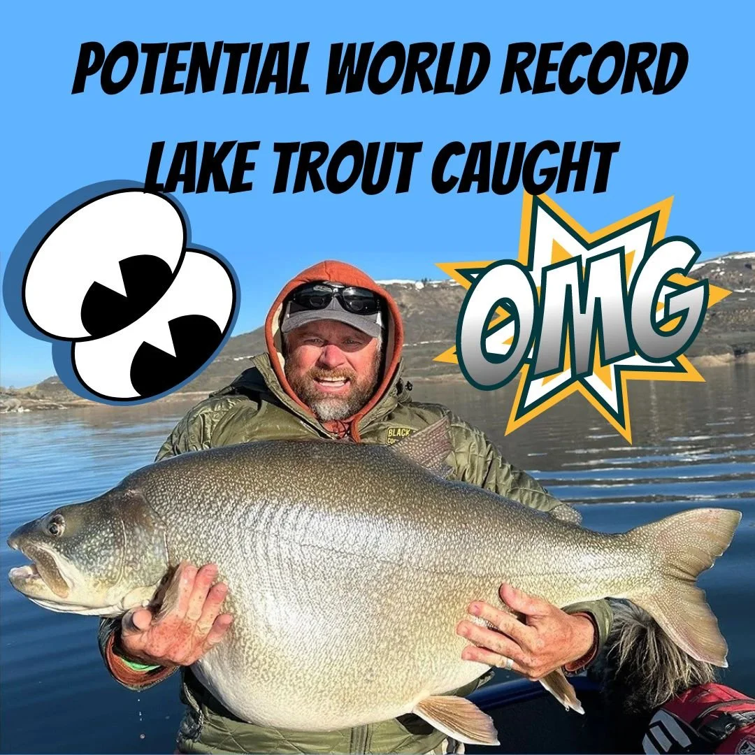 POTENTIAL WORLD RECORD LAKE TROUT CAUGHT