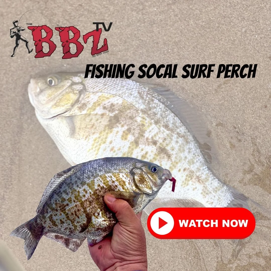 SoCal Surf Fishing For Perch 2023