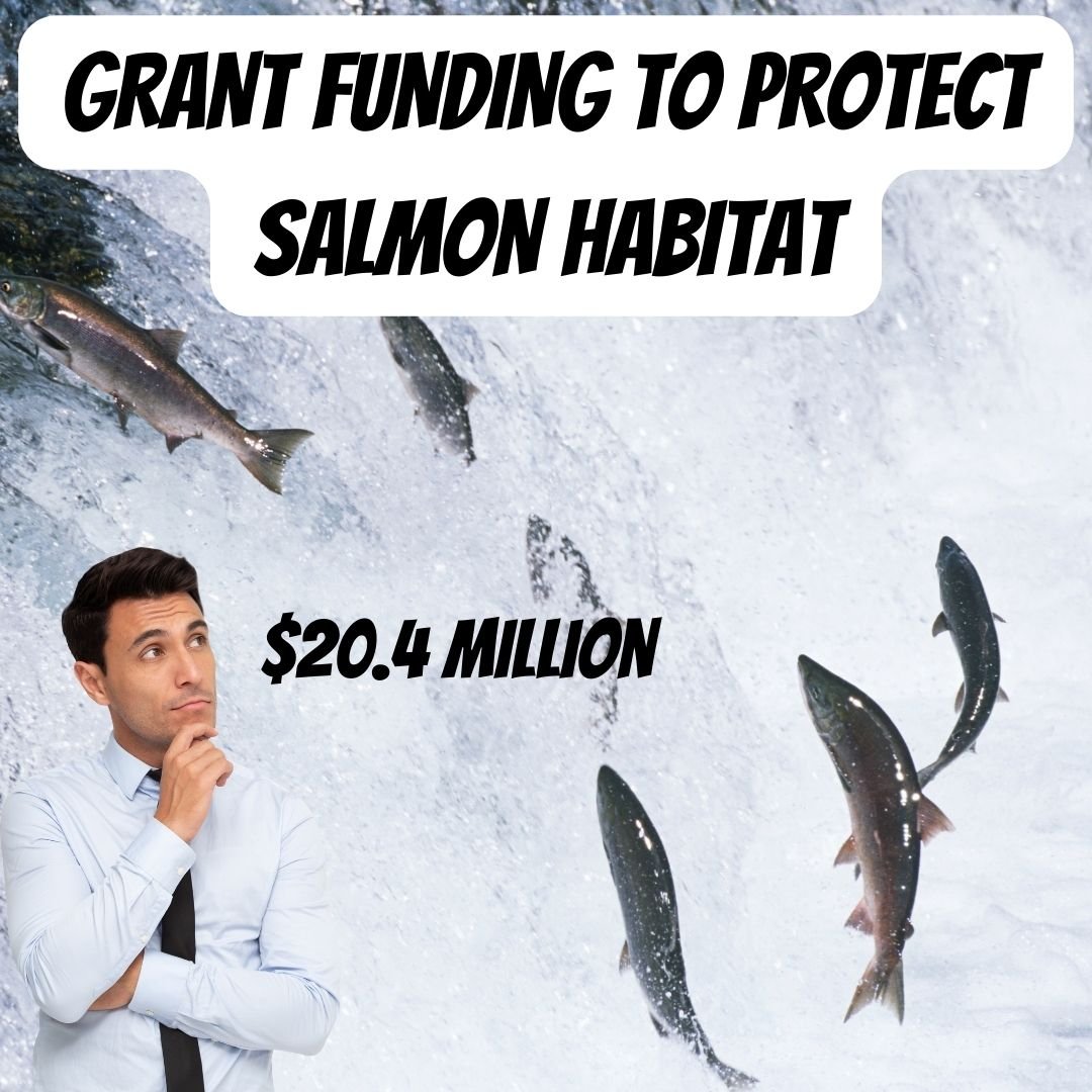 GRANT FUNDING TO PROTECT SALMON HABITAT AND OTHER CALIFORNIA FISH AND WILDLIFE SPECIES ANNOUNCED