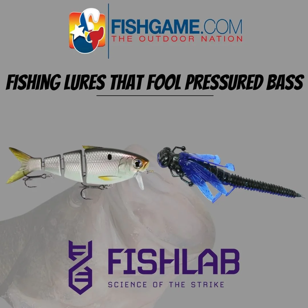 Fishing Lures That Fool Pressured Bass... FishLab Does!