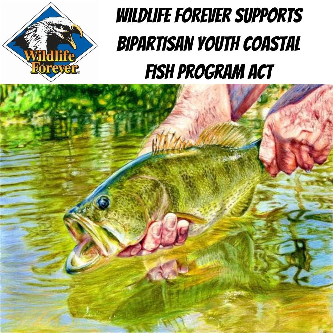 Wildlife Forever Supports Bipartisan Youth Coastal Fish Program Act