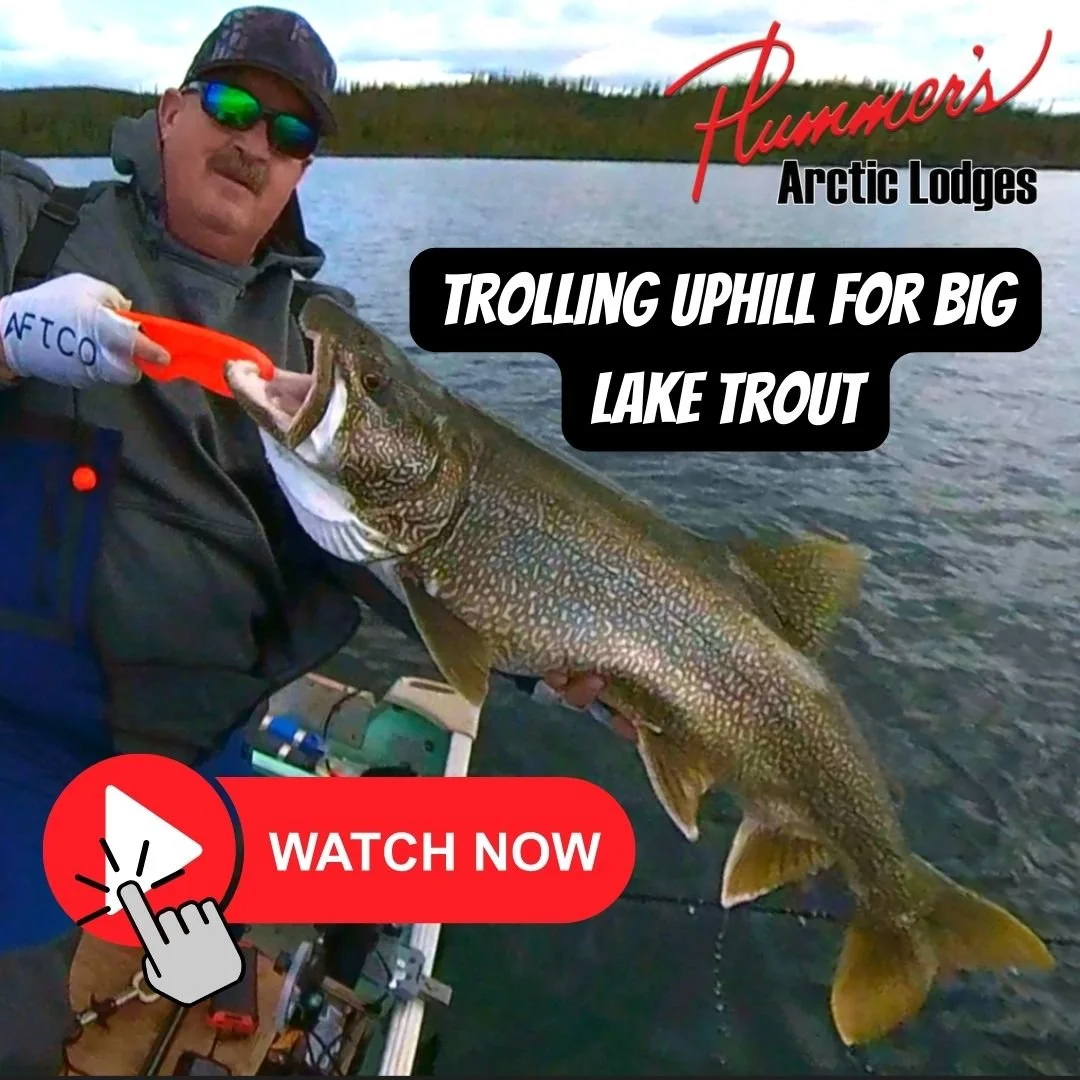 Plummer's Arctic Lodges: Trolling Uphill For Trout, Understanding The Funnel