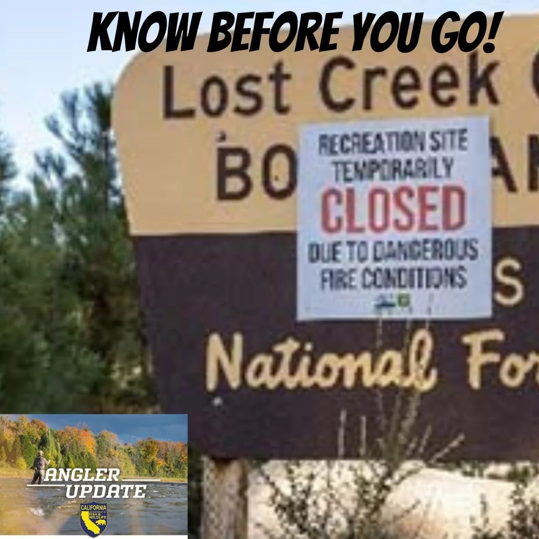 California’s Public Lands Affected by Closures:  Know Before You Go!