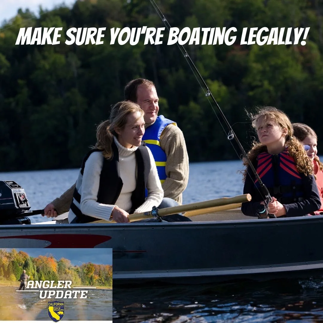 Do you fish from a boat?  If so, make sure you’re boating legally!