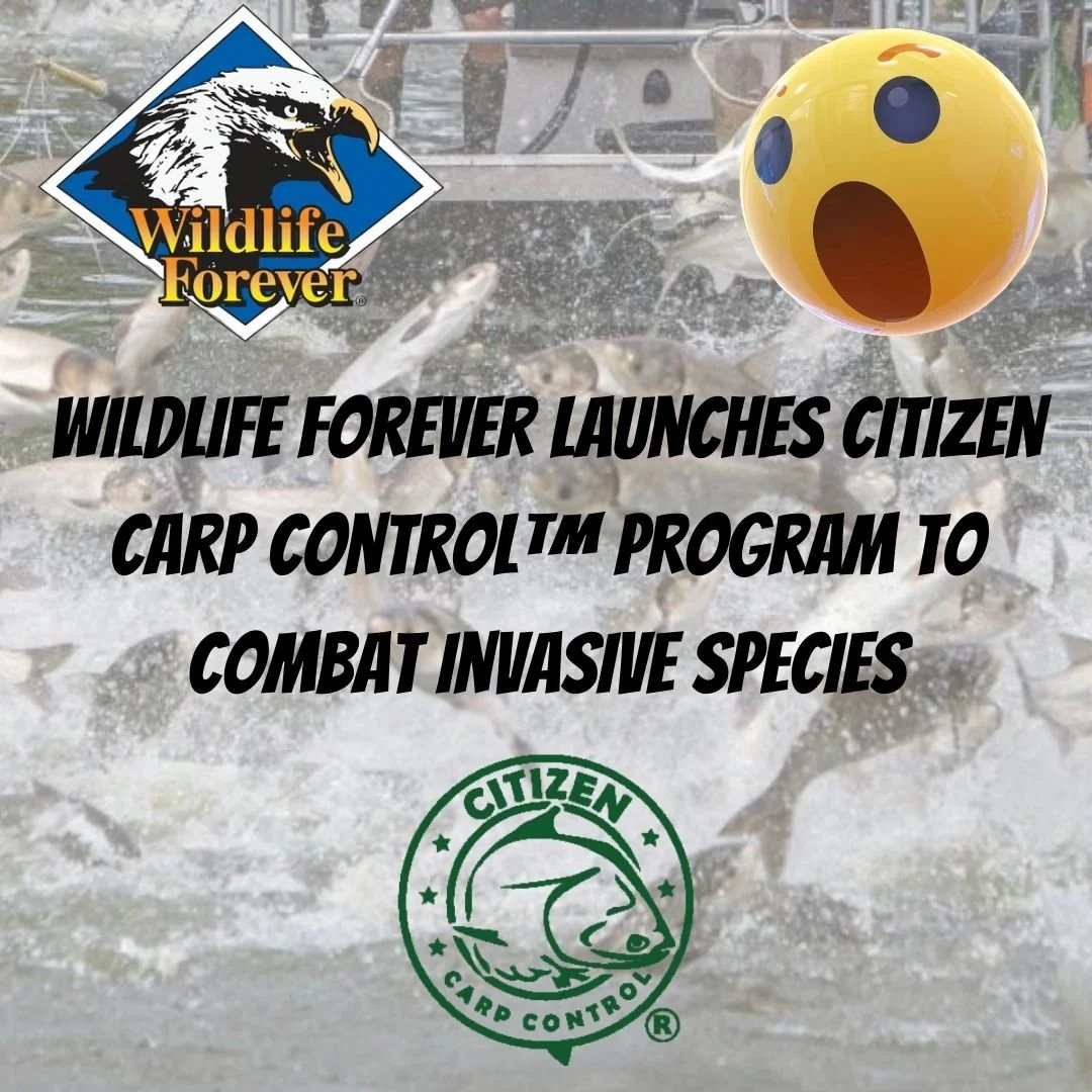 Wildlife Forever Launches Citizen Carp Control™ Program to Combat Invasive Species
