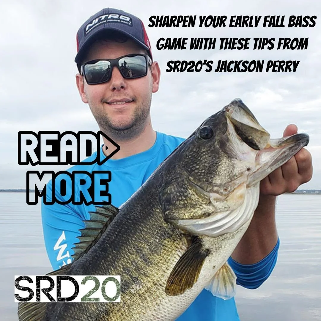 Figuring Out Transition Bass With Jackson Perry