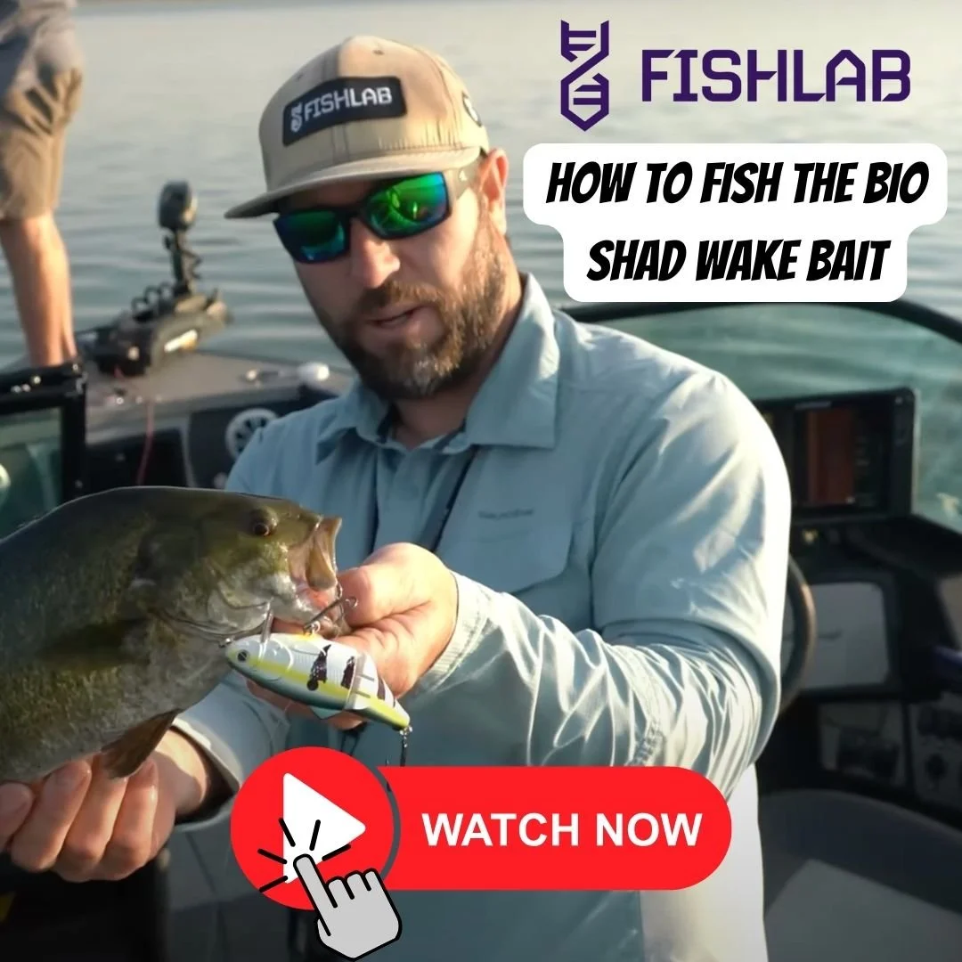 Wake Up and Smell the Bass - A Tutorial on Fishing Topwater Wake Baits