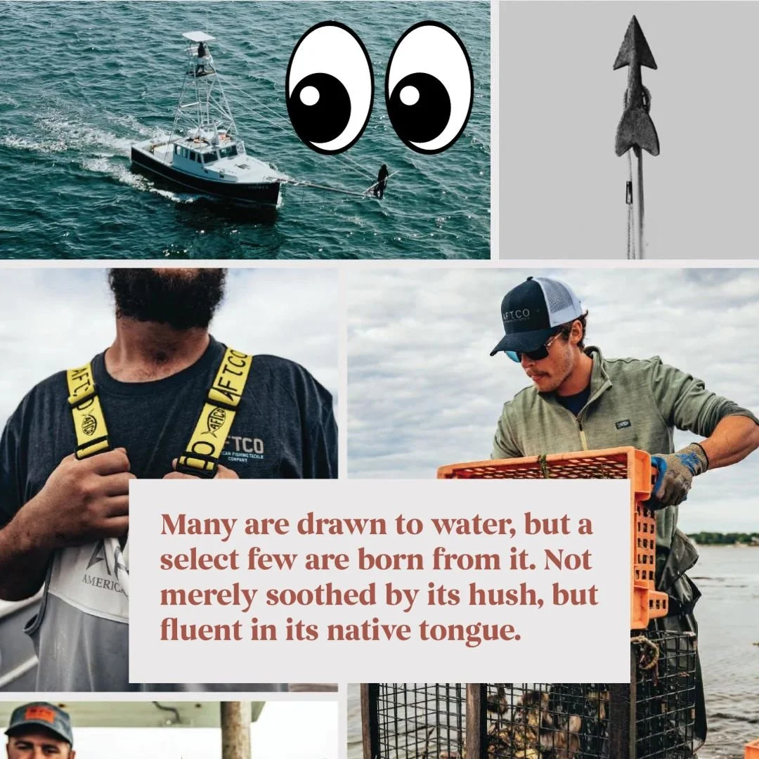 Watch Now: Ode to the Cape