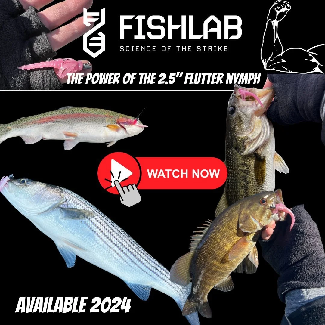 Secrets Revealed: Team BBZ Shows The Power Of The FishLab 2.5 Flutter Nymph