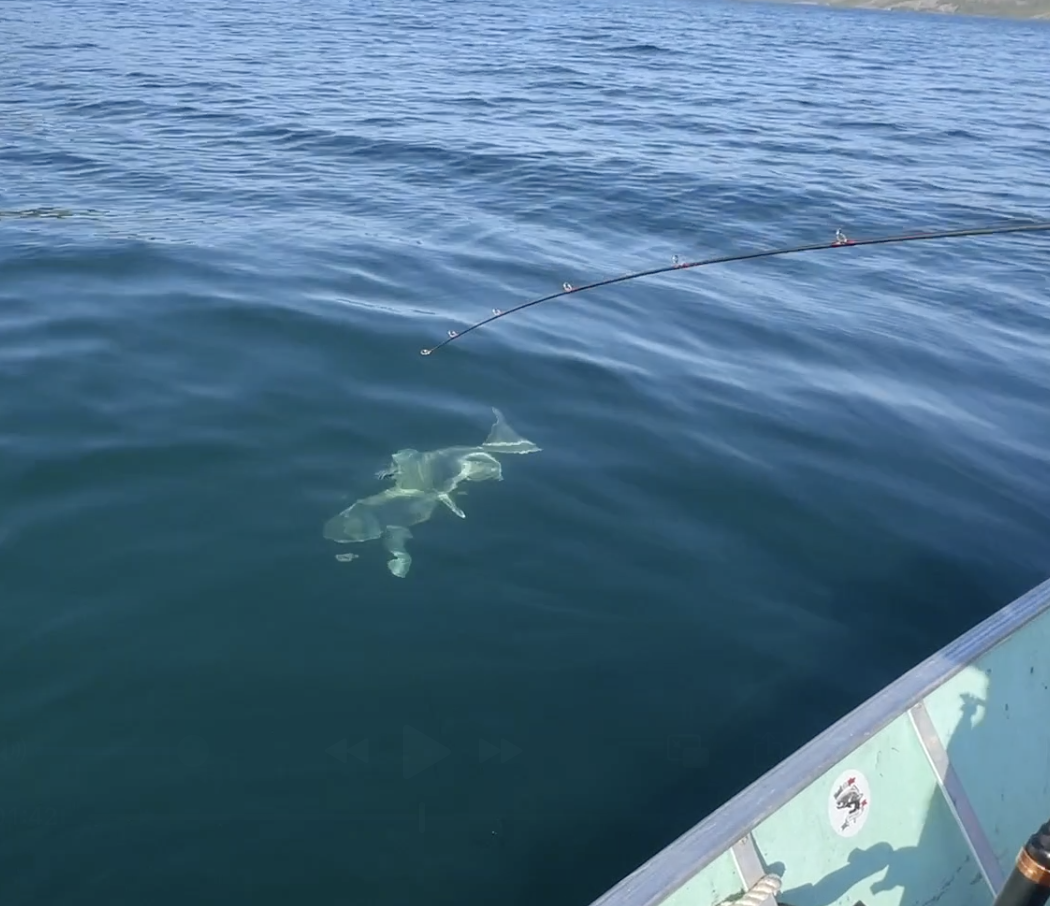 Ever Wanted To Chase Monster Lake Trout? Plummer's The Place
