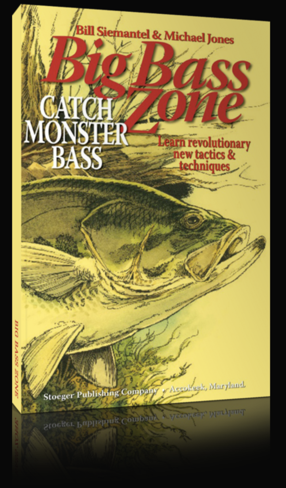 Book cover titled 'Big Bass Zone: Catch Monster Bass' by Bill Siemann & Michael Jones, featuring an illustration of a large bass fish in a yellow and black color scheme.
