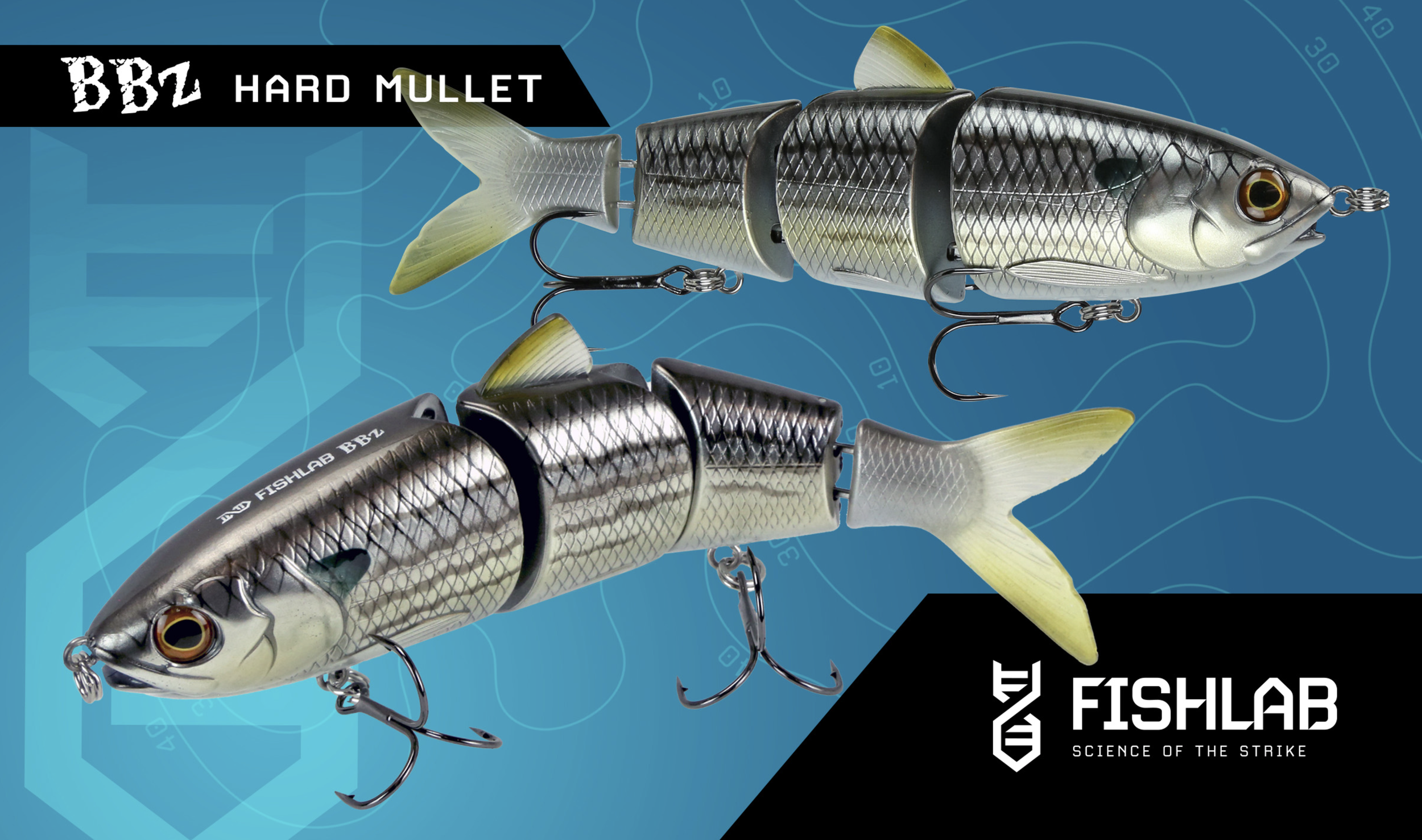 Two fishing lures designed to look like fish, with segmented bodies, realistic eyes, and hooks, placed on a blue background with white and black text. The text includes 'BBZ Hard Mullet,' and the logo 'FISHLAB Science of the Strike'.