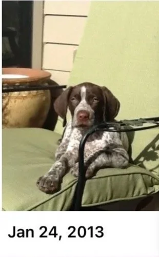 KENNY   The Best Boy!