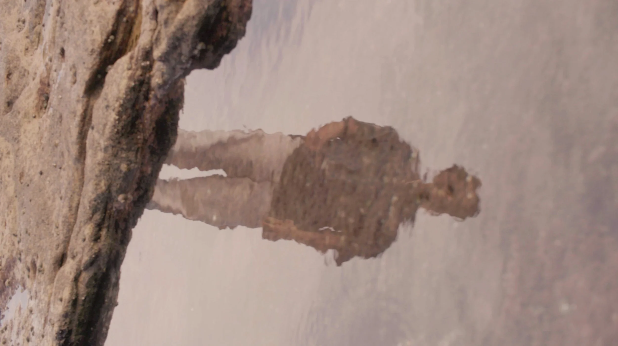 Screen Shot 2021-12-19 at 00.05.43.jpg