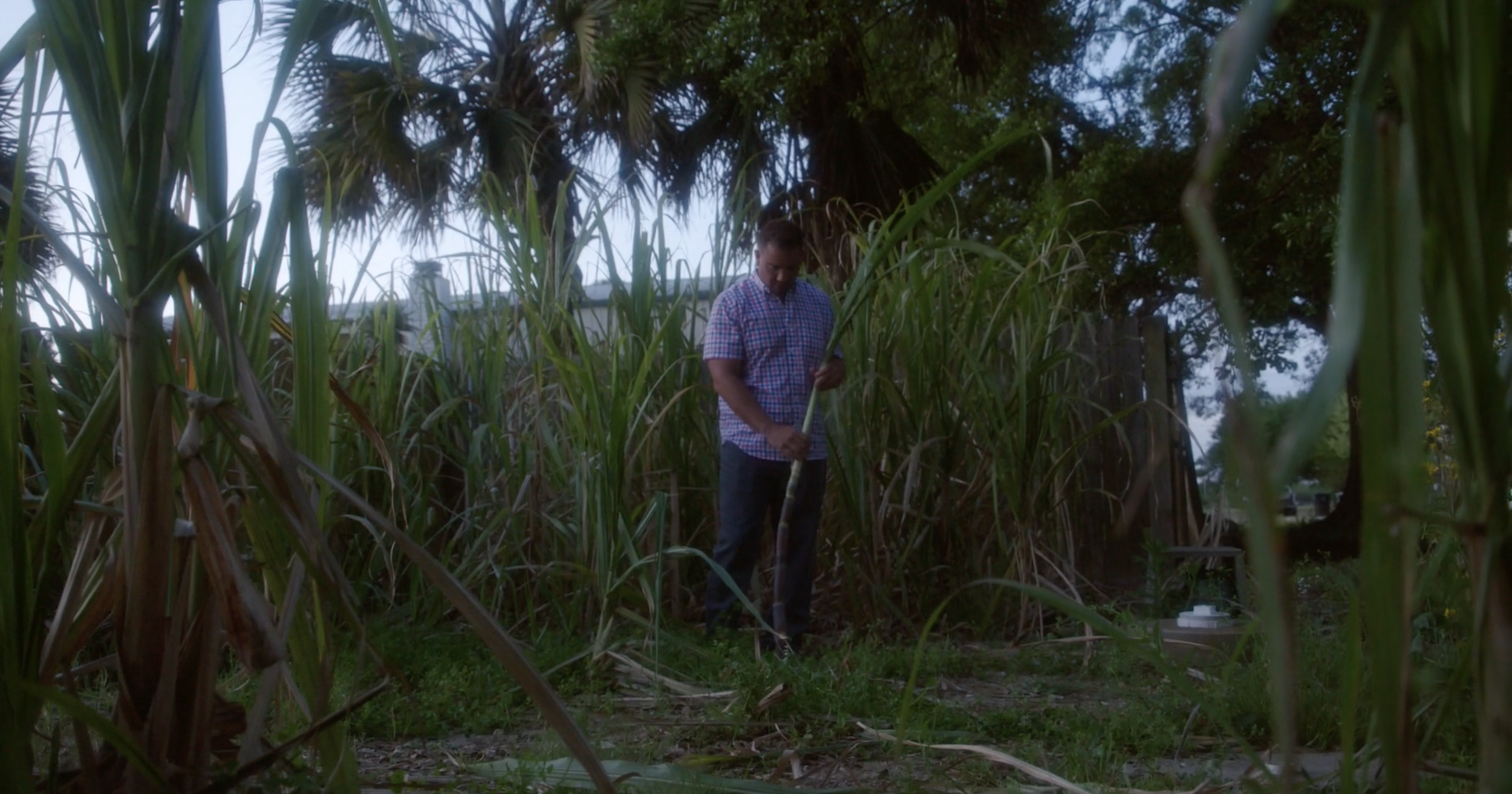 CAIN // Documentary
