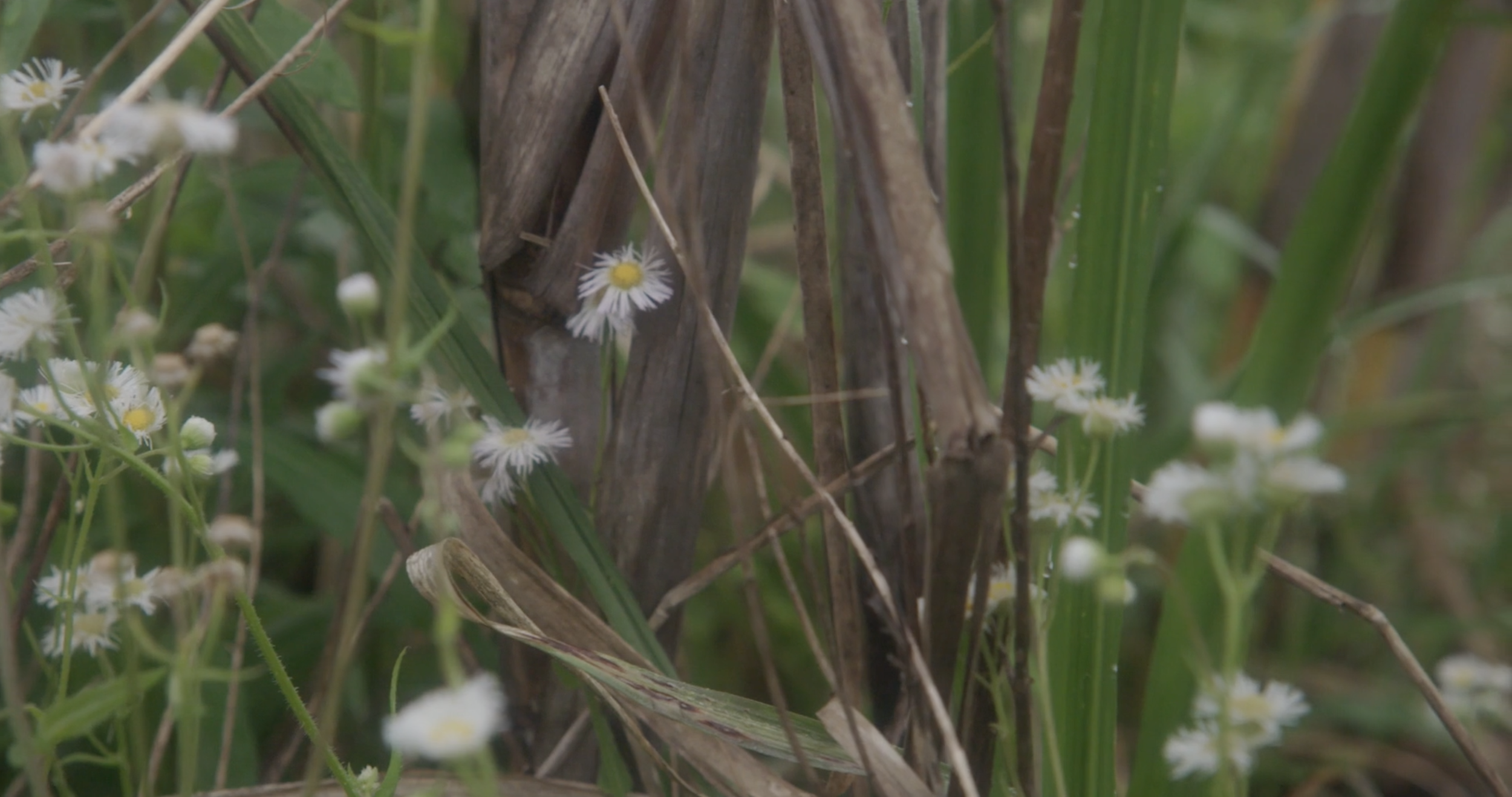 Screen Shot 2023-09-21 at 11.01.30 am.png