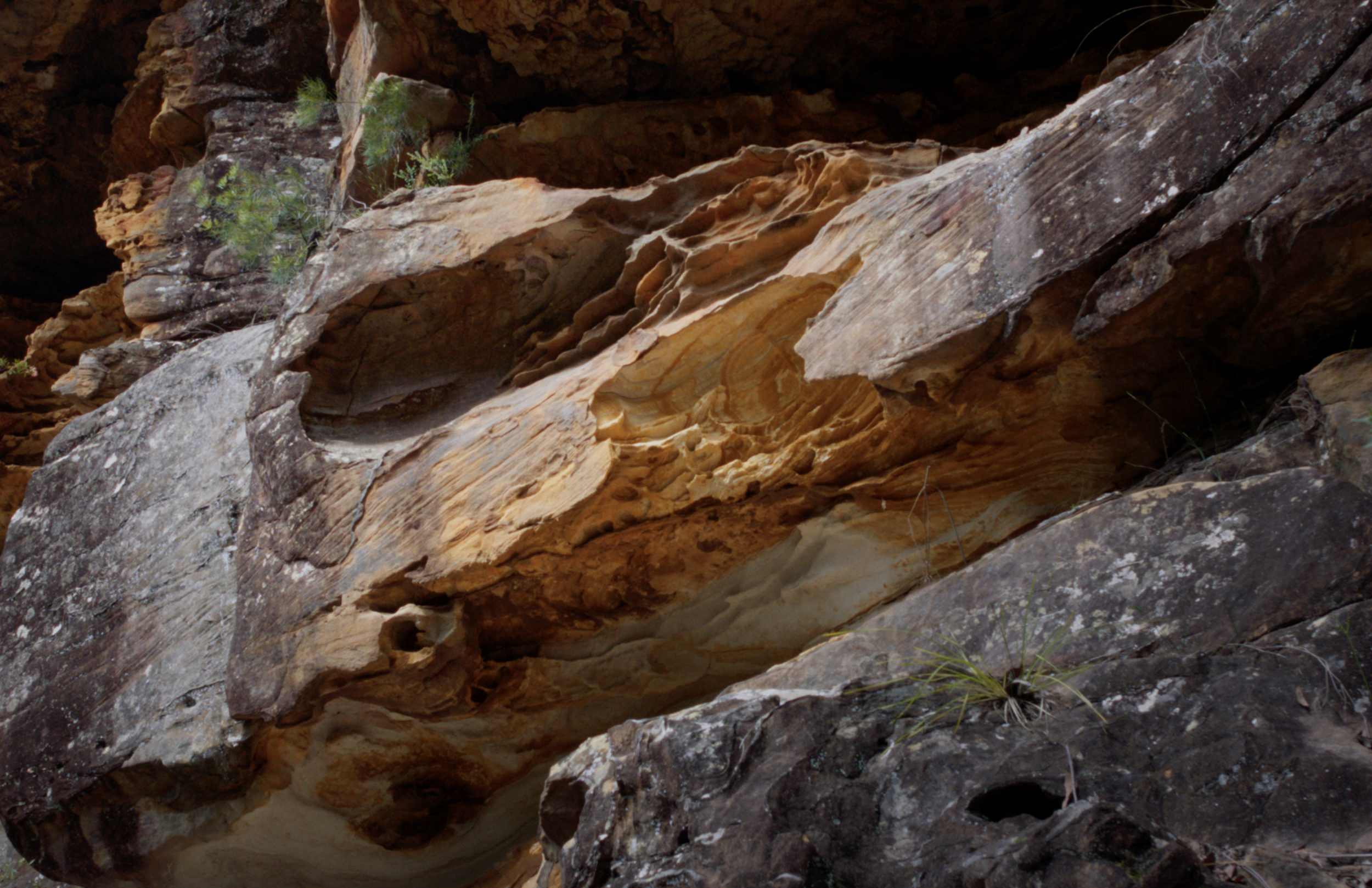 Screenshot 2026-01-16 at 2.53.32 pm.png