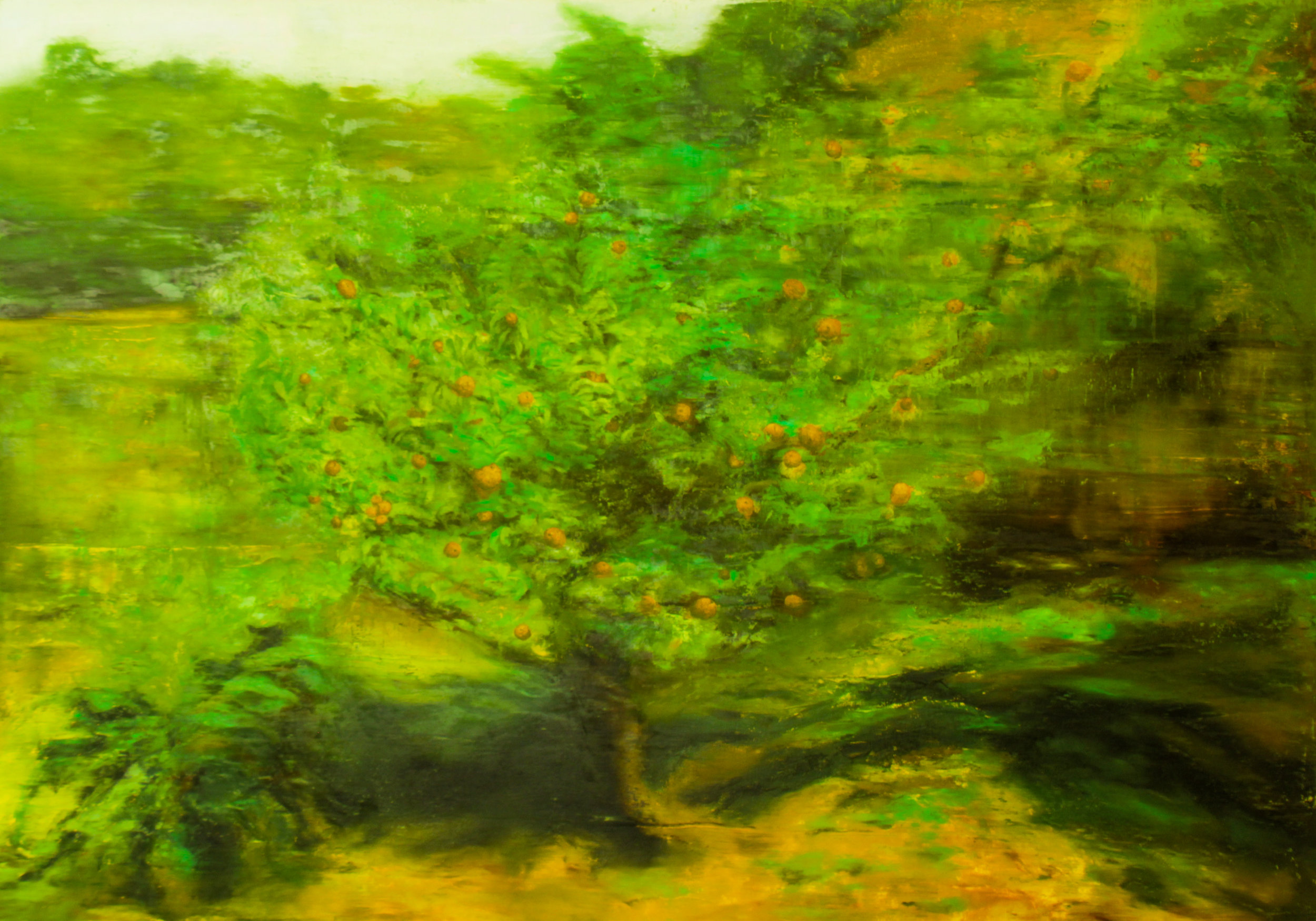 Lemon Tree in Colombia, Oil on canvas, 55 x 78in.JPG