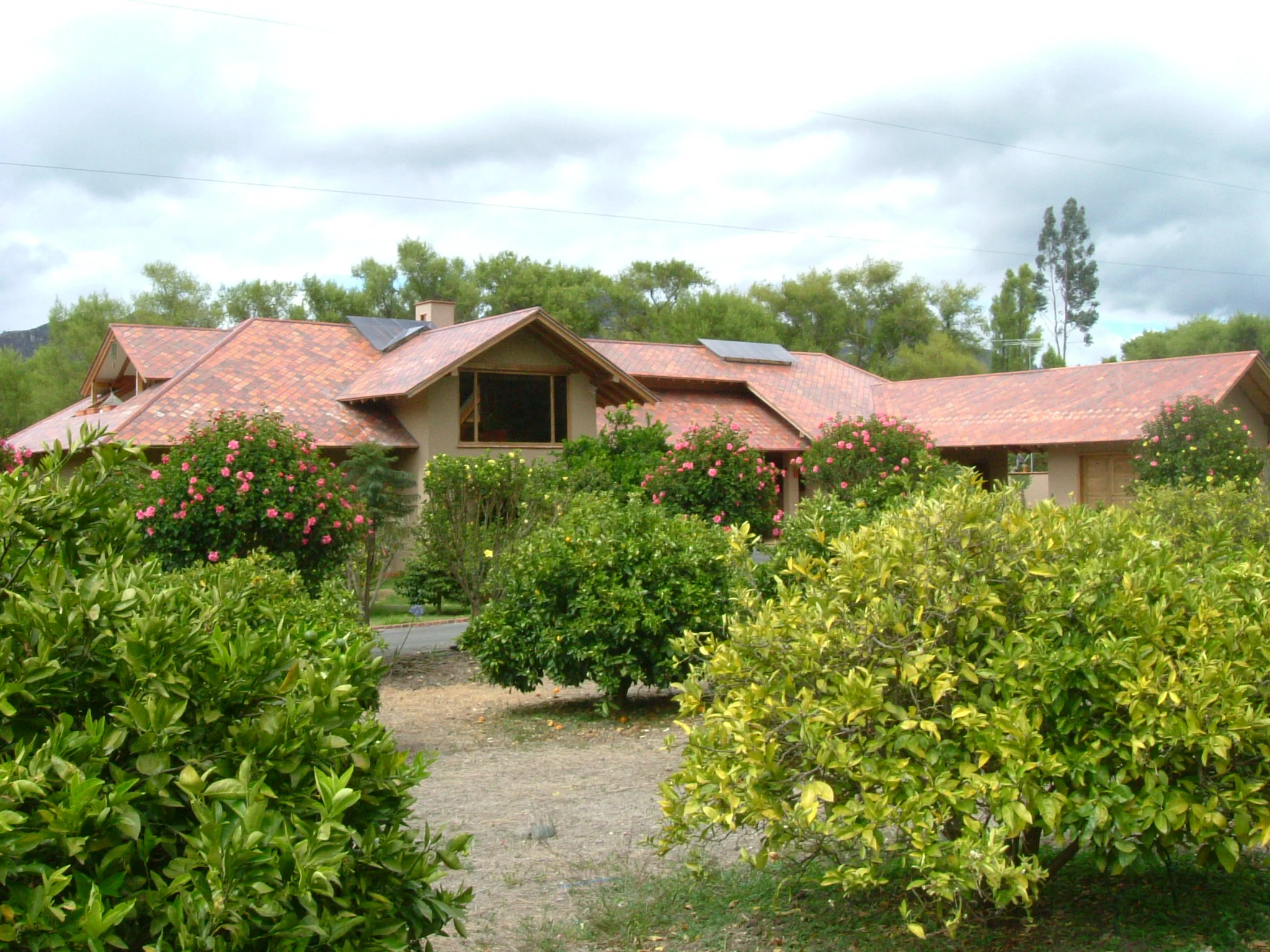 DSCF5568.JPG