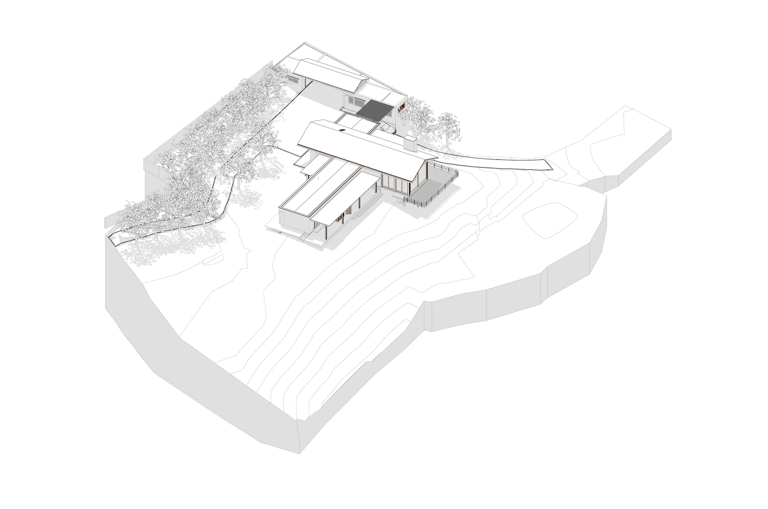 Casa PDJV_Axonometria.jpg
