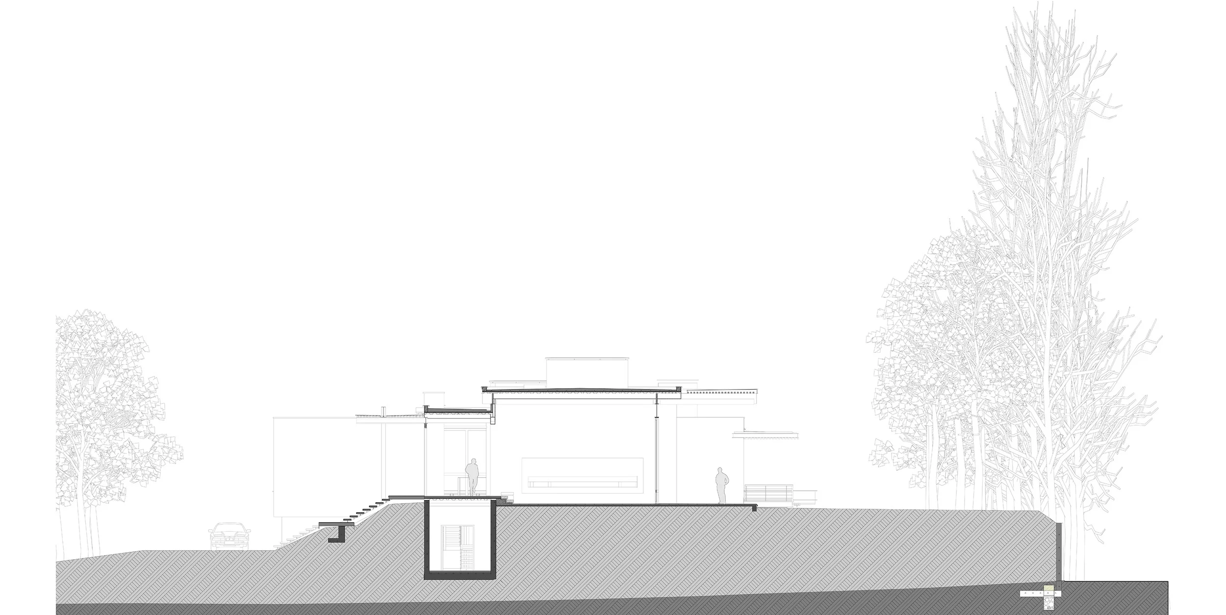 Casa-PM3_Seccion-Transversal.jpg