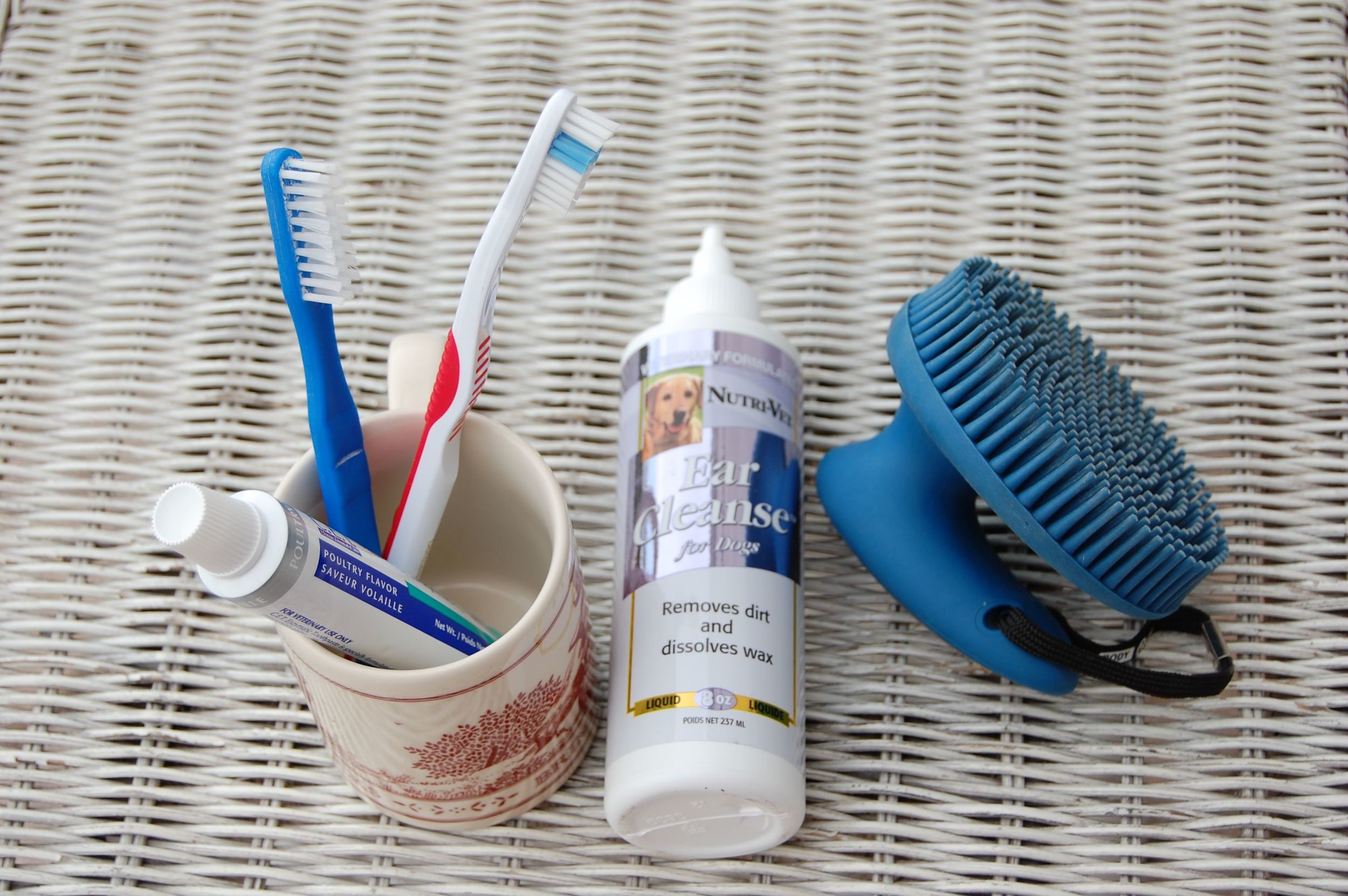Dental equipment, ear cleanser, and a curry comb for hair. The last for my shorthaired breed is optional; the second is important at times; the first is essential ALL the time .