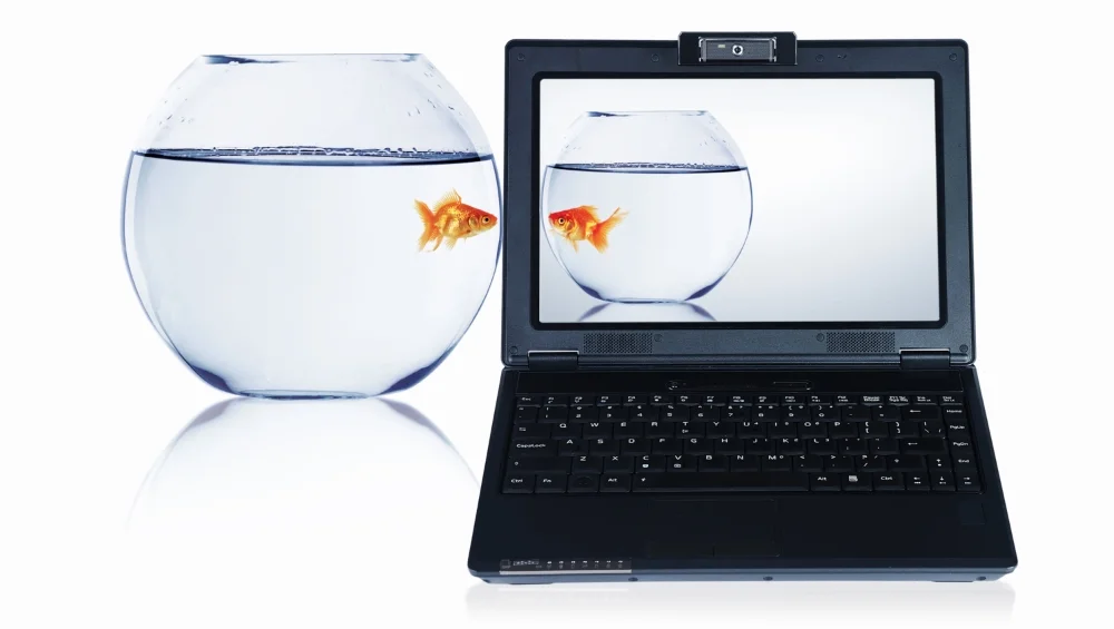 Fishbowl and computer.jpg