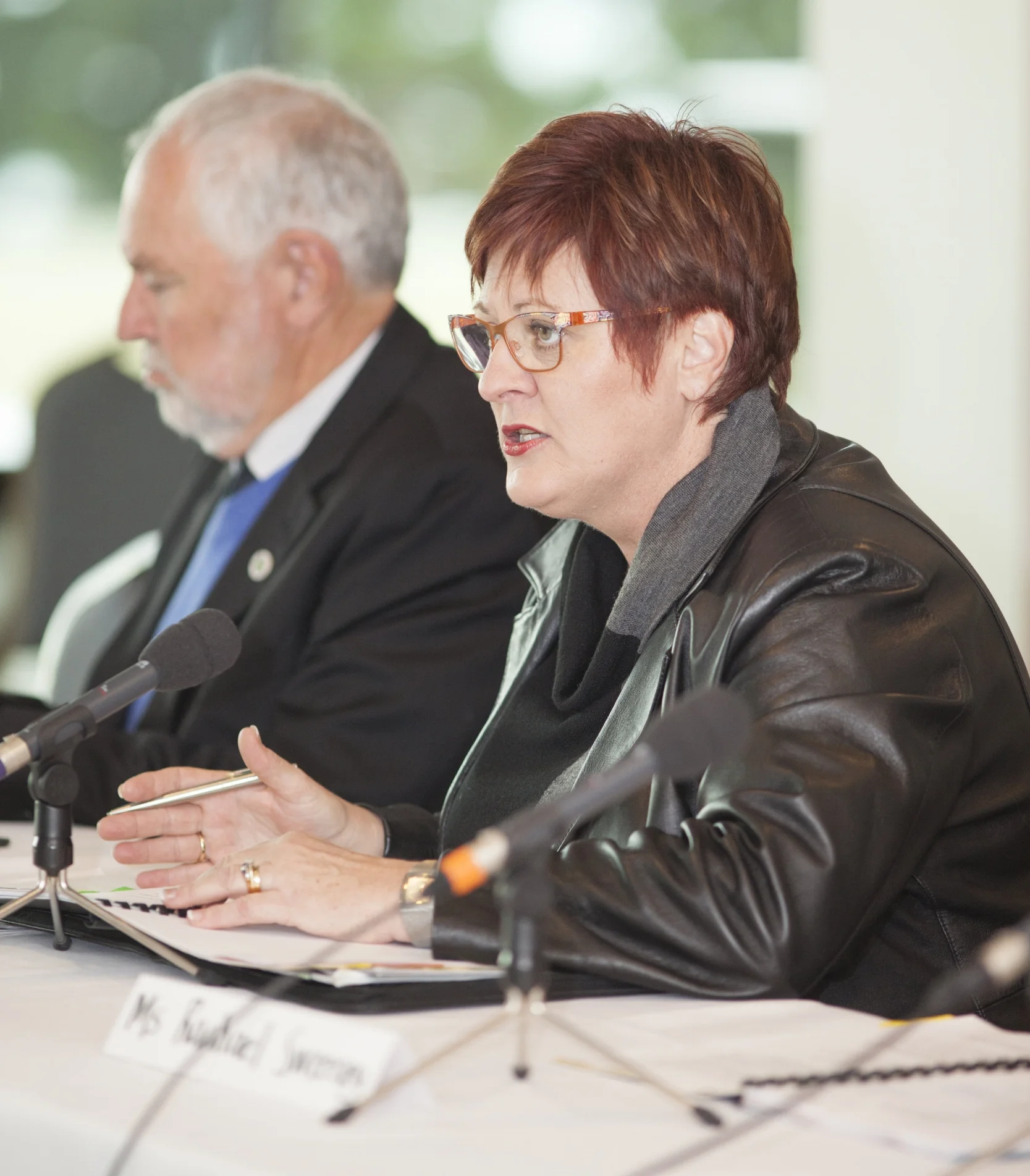 RCA Chair and Deputy Chair presenting to a Senate hearing