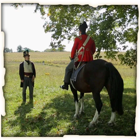 horse.jpg