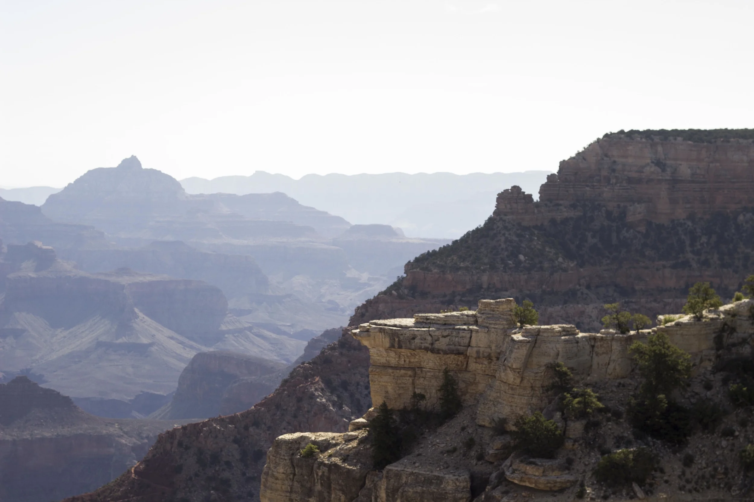 _MG_2794.jpg