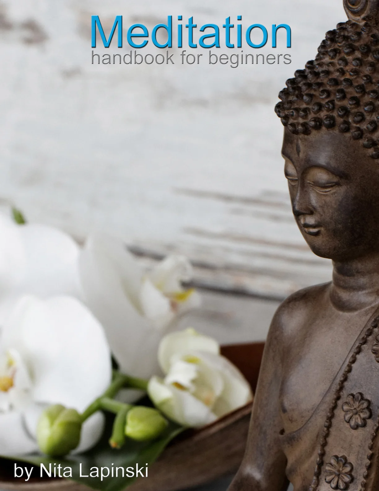 Meditation Handbook for Beginners by Nita Lapinski