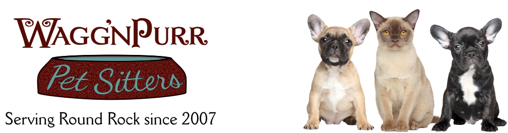 Logo Banner1.png