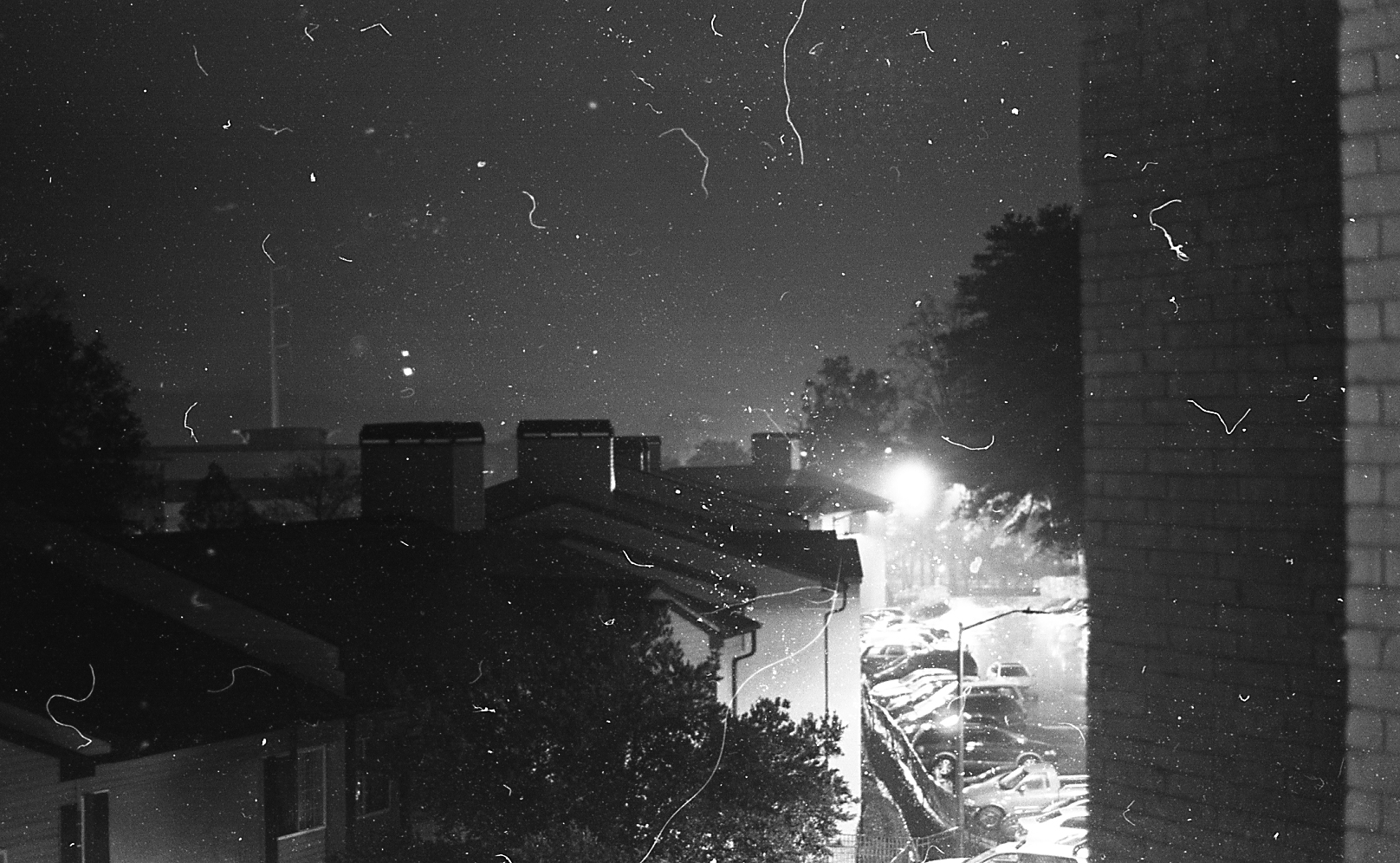 img201.jpg