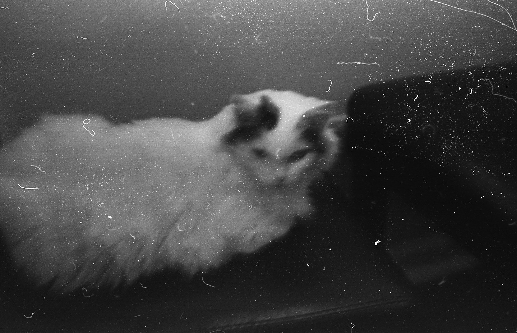 img206.jpg