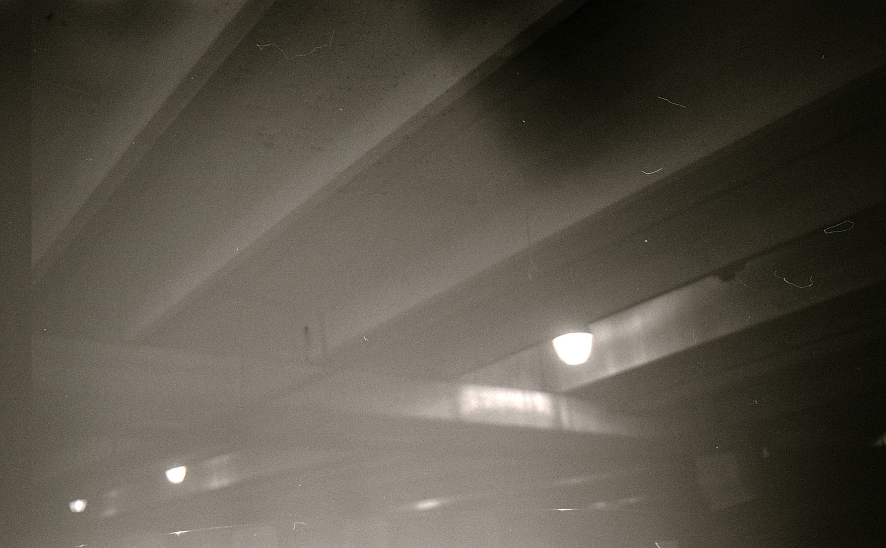 Week-25005.jpg