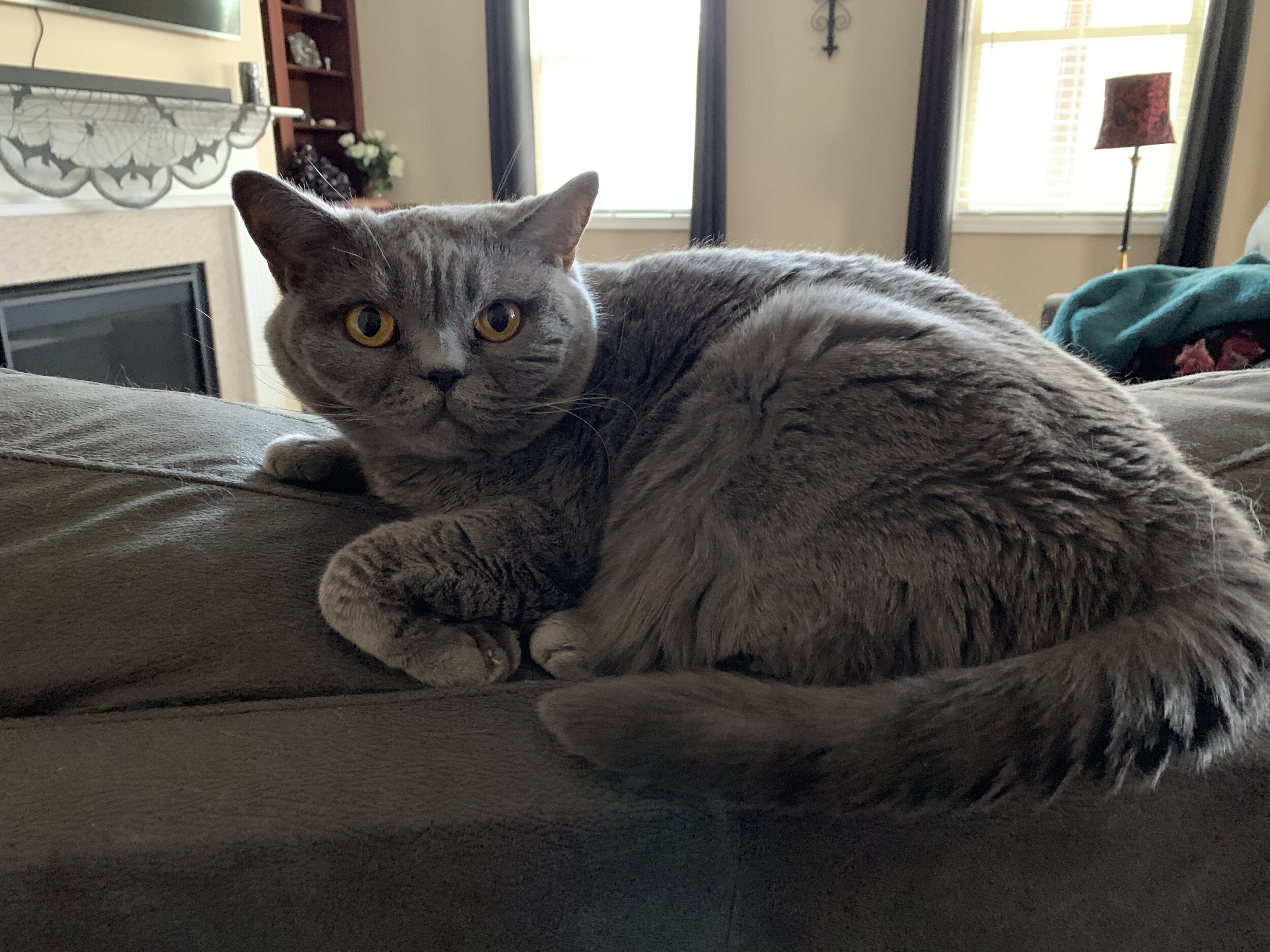 IMG_6876.jpeg