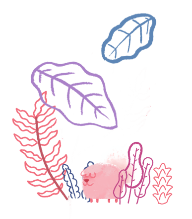 about_image16.png