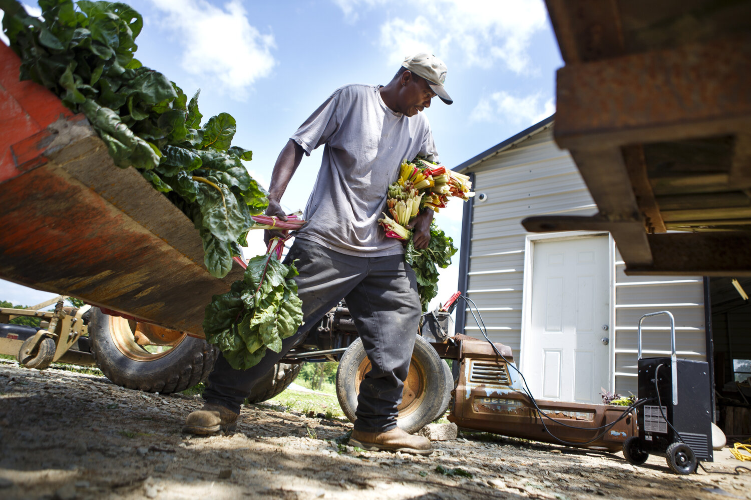  In 1999 following the largest ever civil rights settlement in the history of the United States, Black farmers in North Carolina believed that perhaps their situations would change. The USDA had finally acknowledged discriminatory practices when it c