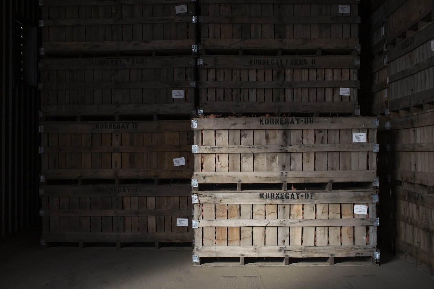  Crates of sweet potatoes fill a curing and storage facility at Kornegay Family Farms and Produce in Princeton, North Caorlina. North Carolina produces 67% of the country’s sweet potatoes and curing the sweet potatoes allows the starch in them to con
