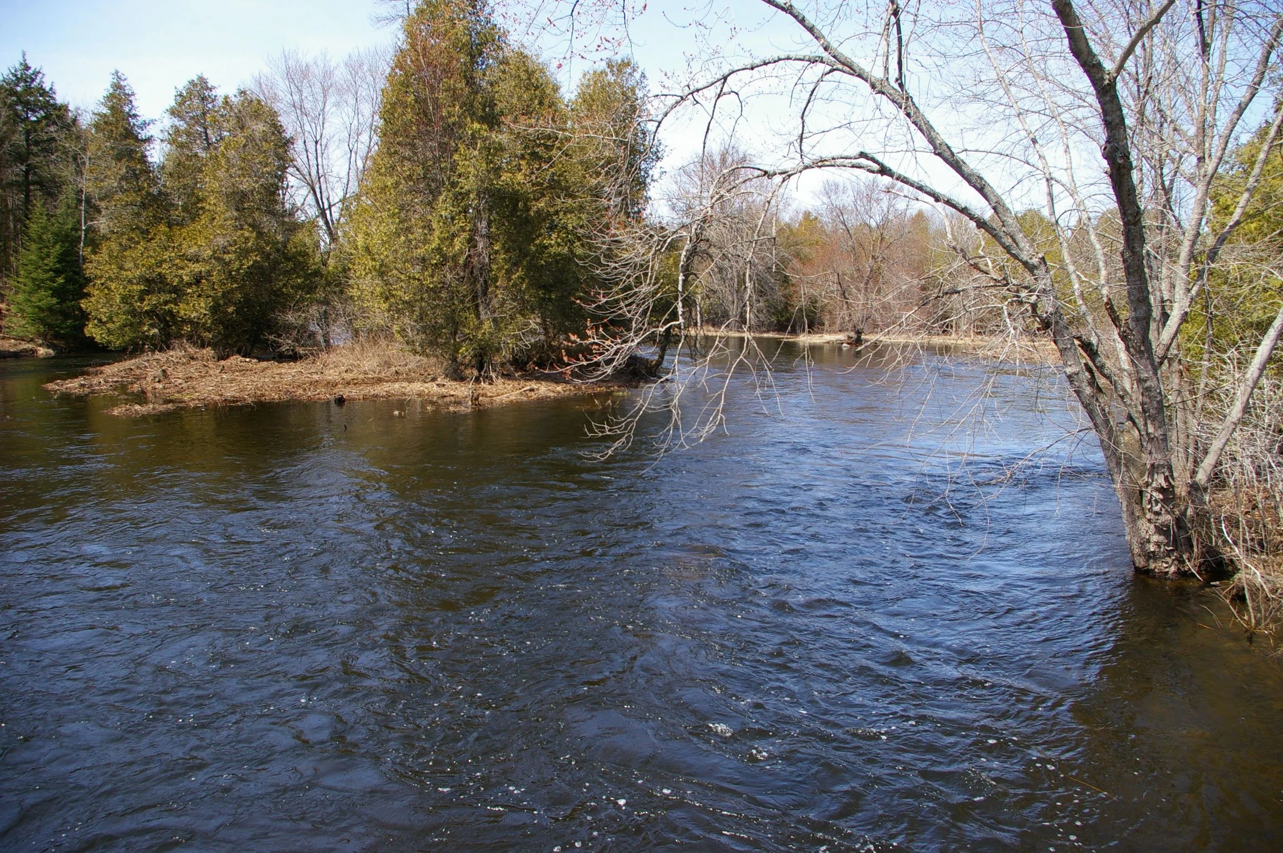 IMGP5098.jpg