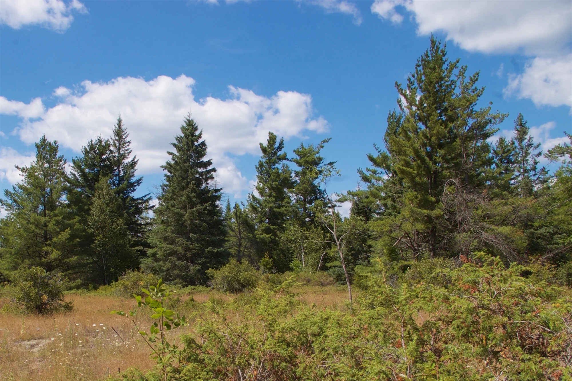 Alvar, Stirling-Rawdon