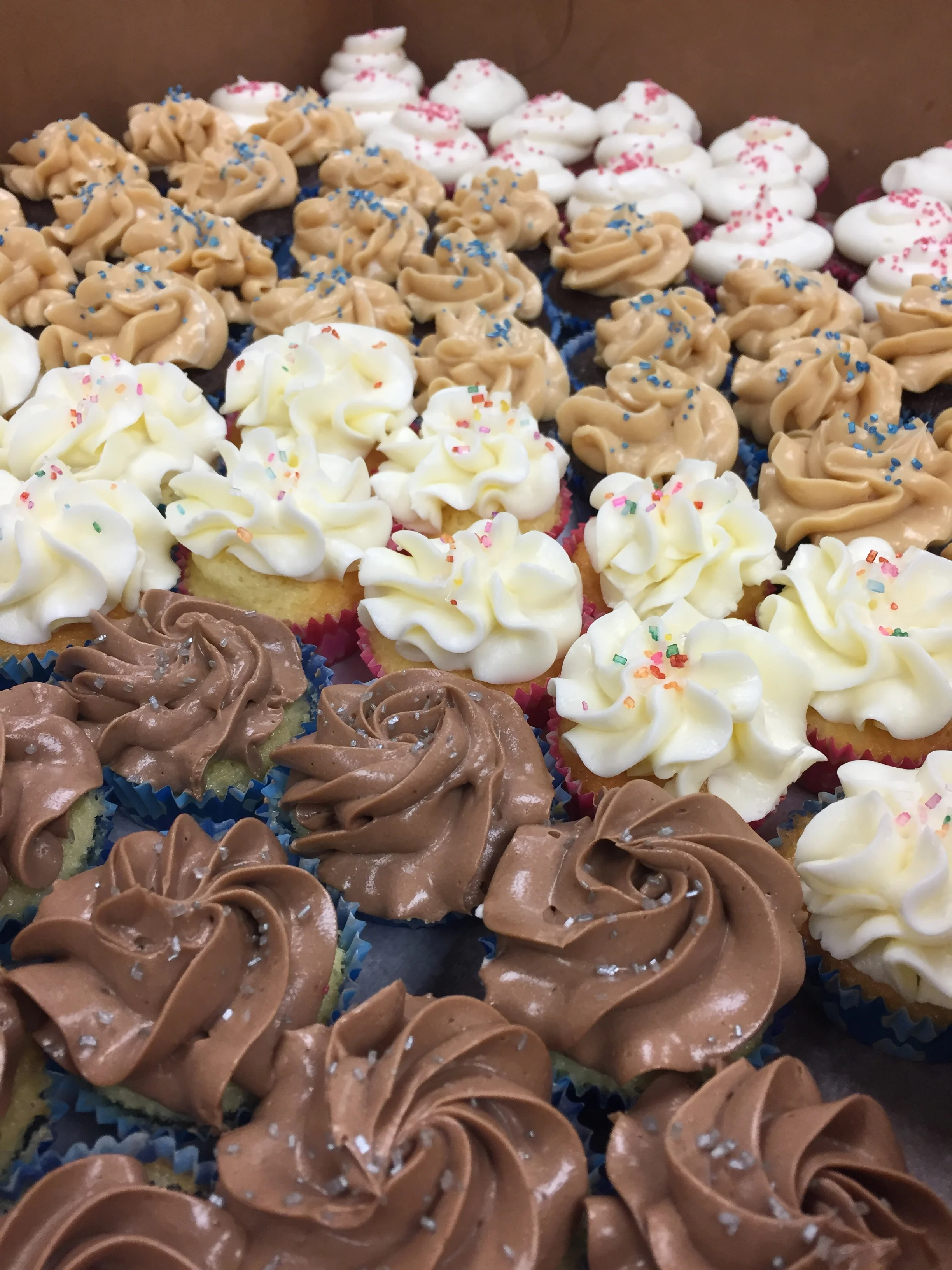 cupcake collection.JPG