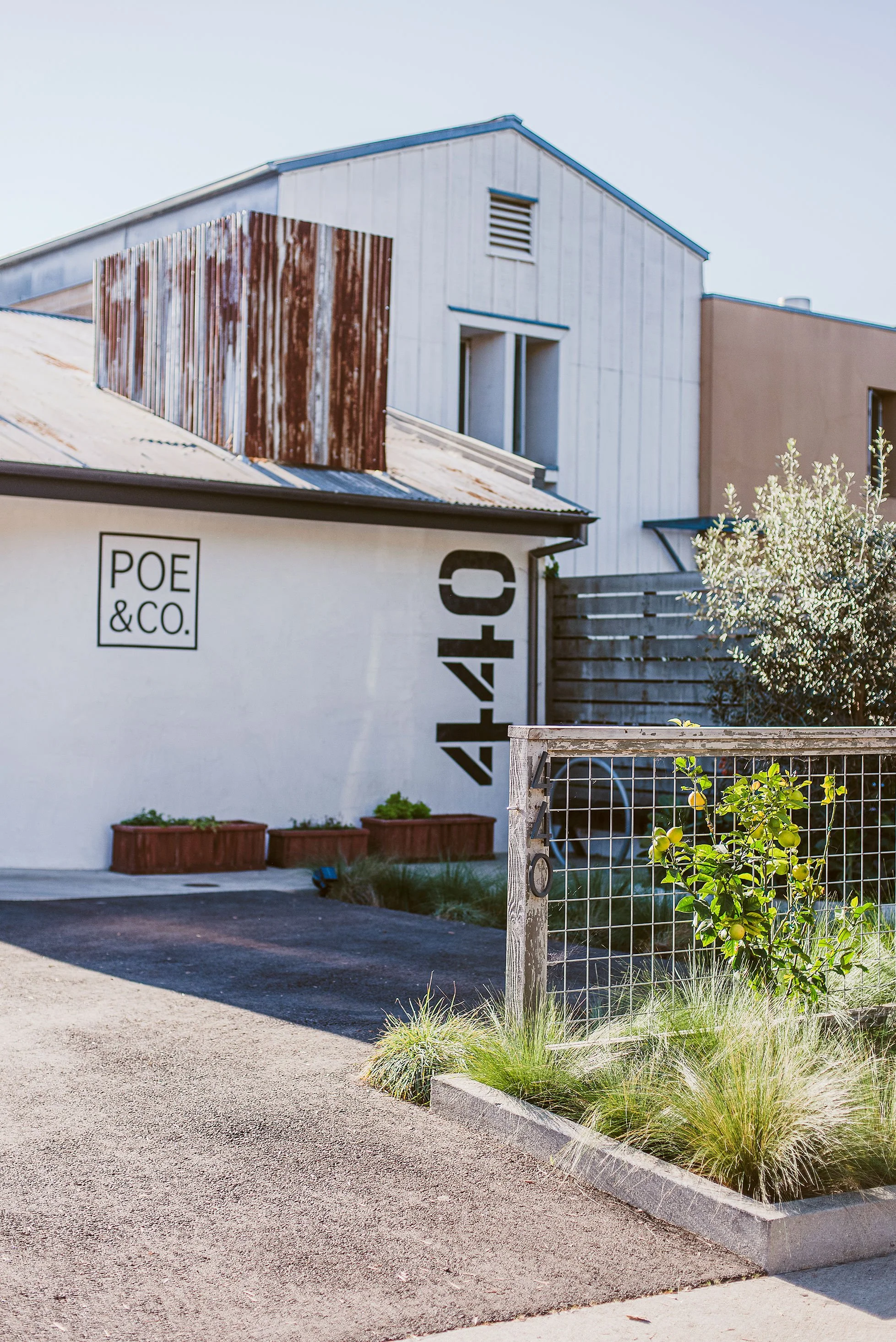 PoeCoBrand-004WEB-004.jpg