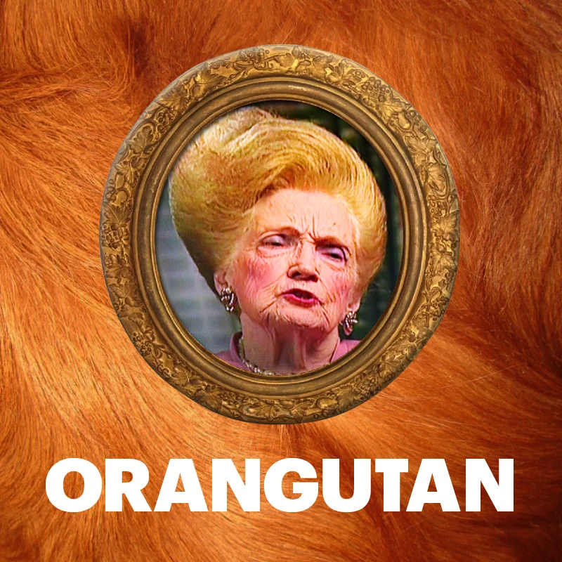 Orangutan_Social_040319.jpg